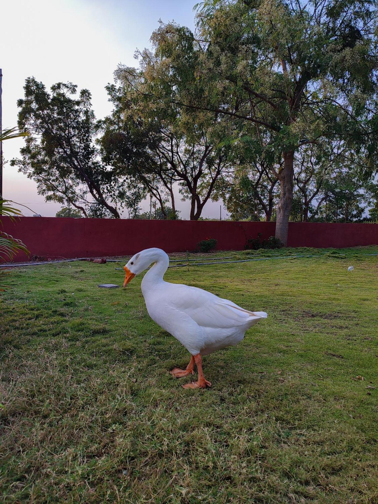 Rajpipla Van Vagdo Resort מראה חיצוני תמונה